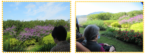 外気２.png