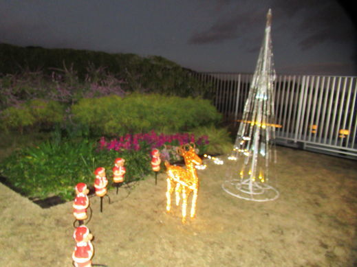 IMG_8377.jpg