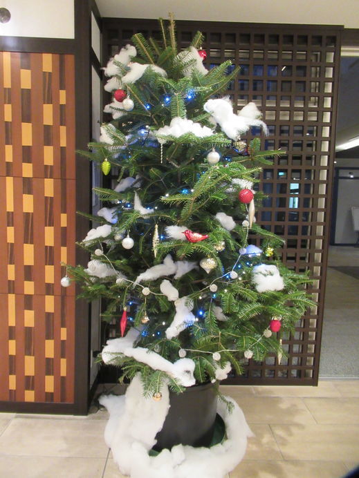 IMG_8370.jpg