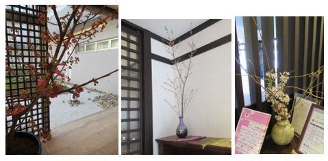 桜３.jpg
