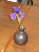 ☆5月の花～菖蒲を折りました☆