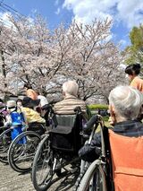 ☆山ノ内公園でお花見しました！☆