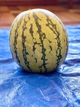 夏祭り★スイカ割り開催