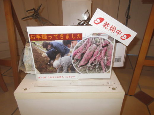 2011127.jpg