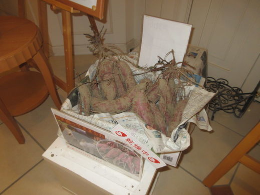 2011126.jpg