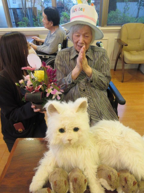 2010312.jpg