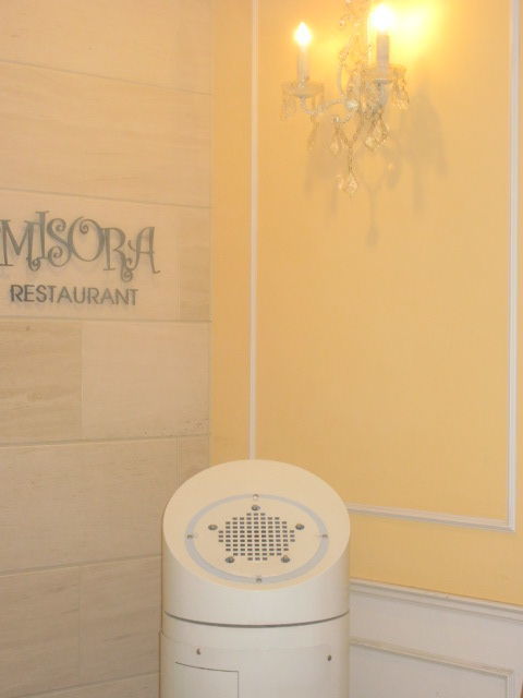 2011155.jpg