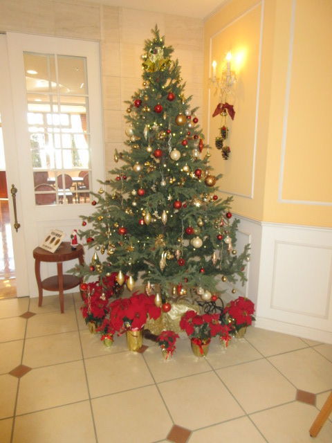 201215.jpg