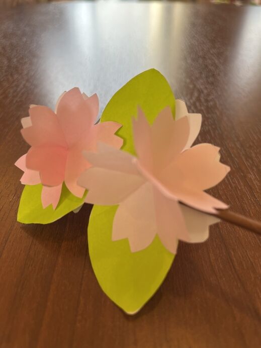 2026 03 15 03 JPG.jpg