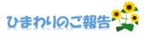 ひまわりのご報告