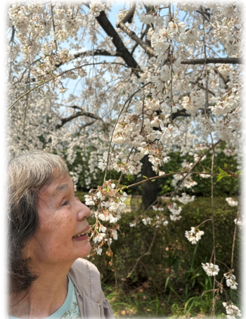 スクリーンショット 2026-04-07 152209.png