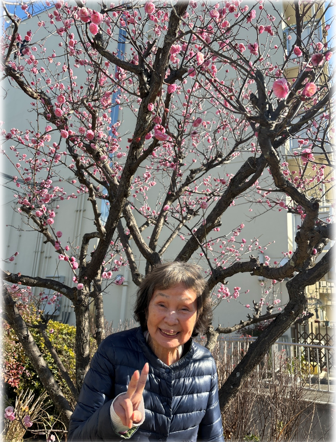 スクリーンショット 2026-02-09 115753.png