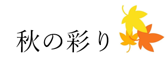 スクリーンショット 2026-09-16 123105.png