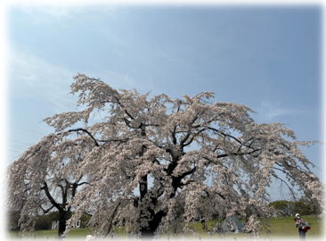 スクリーンショット 2026-04-07 152037.png