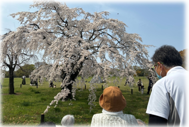 スクリーンショット 2026-04-07 152123.png