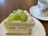 フレッシュケーキの会