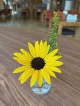一輪挿し