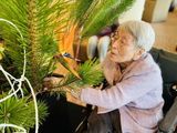 ＊お正月装花＊
