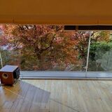 大都会の中の大自然