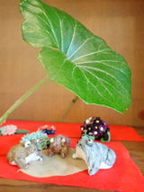 カエルの雨宿り