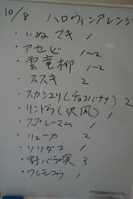 DSC00812.jpg