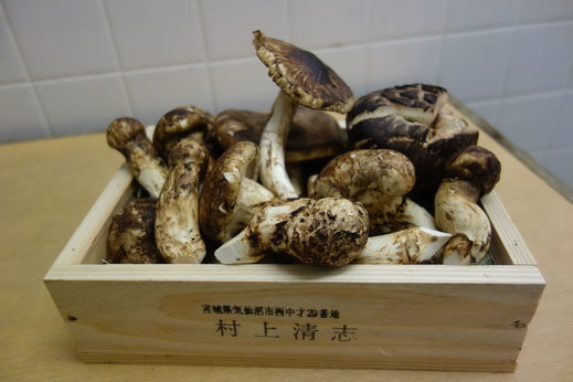 DSC01051.jpg