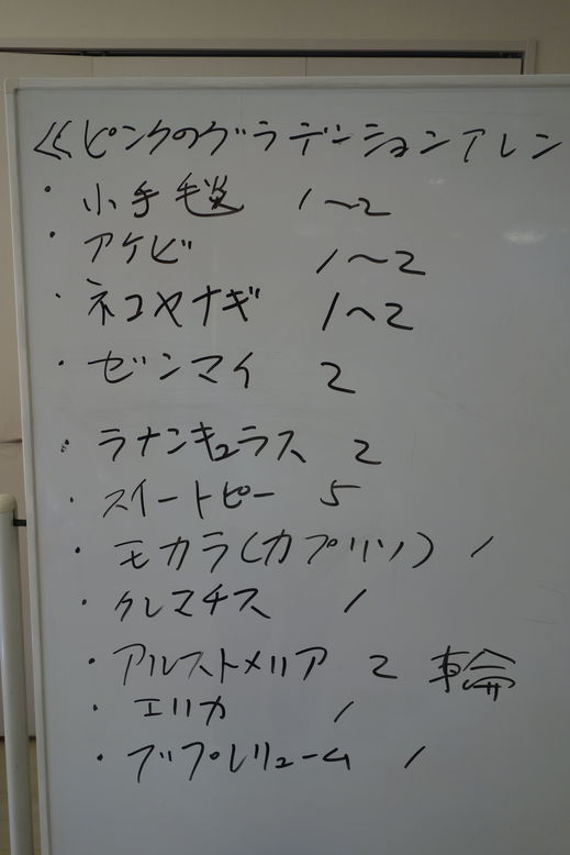 DSC03075.jpg