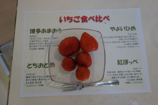 DSC03127.jpg