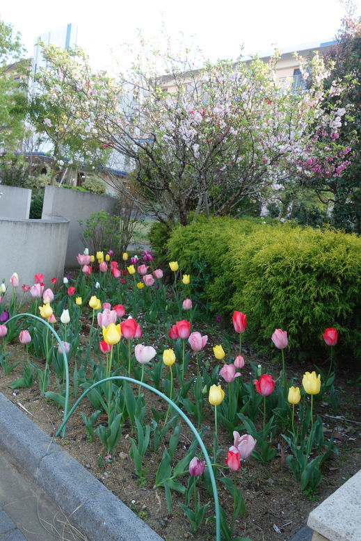 DSC03586.jpg