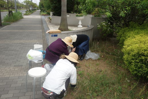 DSC03962.jpg