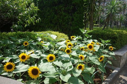 DSC04814.jpg