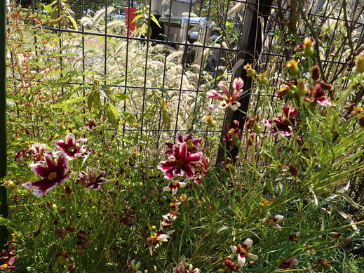 PA062770.jpg