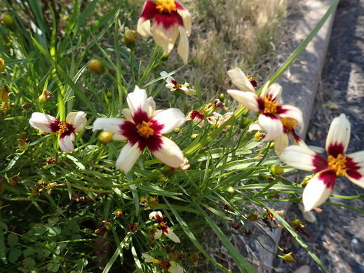 PA062771.jpg