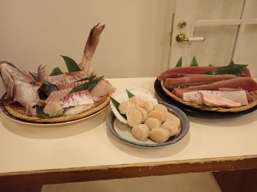 PA230070.jpg