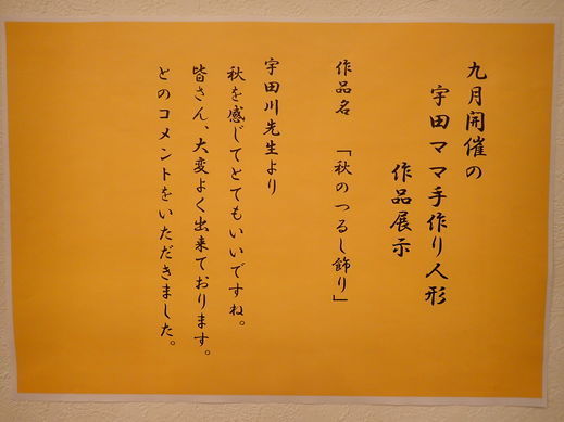 PA242873.jpg