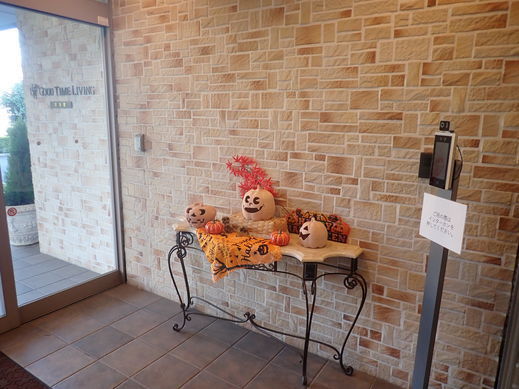 PA242878.jpg