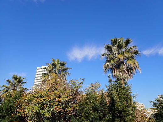 PC113351.jpg