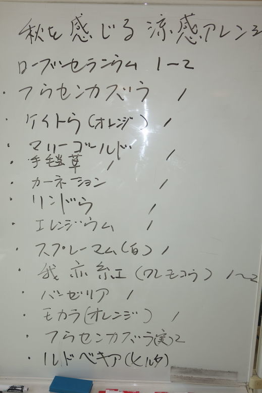 DSC04721.jpg