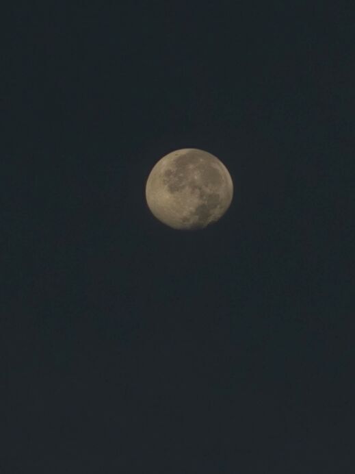 20250910_054744.jpg