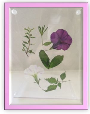 1押し花.jpg