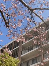 新入社員紹介①