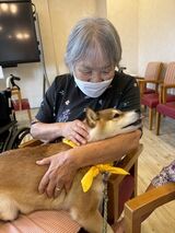 ドッグセラピー🐶🐾