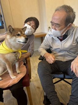 ドッグセラピー