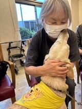 ドッグセラピー🐶