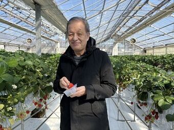 いちご狩り20260219-①.jpg
