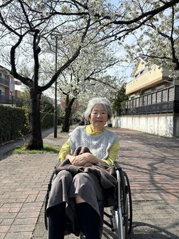 桜20260331-①.jpg