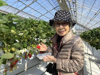 いちご狩り20260219-⑬.jpg