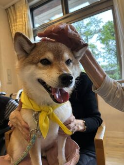 ドックセラピー20250905-2.jpg