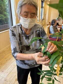 七夕20250630④.jpg
