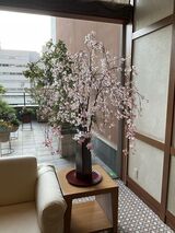 季節を感じる設え